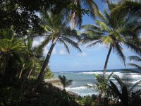 DomRep: Ab Oktober wandern, radeln, kajaken und raften Outdoorfans durchs Karibikparadies