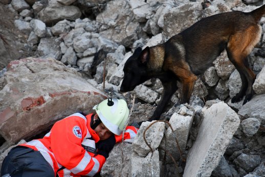 Hund_Amaji_mit_Anke_Frankek.jpg