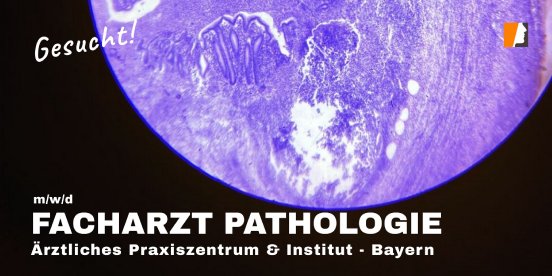 karriere-stelle-facharzt-pathologie-bayerrn.jpg