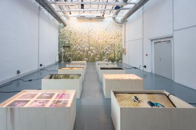 Uriel Orlow, »Soil Affinities«, 2018, Installation aus verschiedenen Medien
© Uriel Orlow