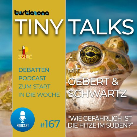 Turtlezone Tiny Talks Episode 167.png