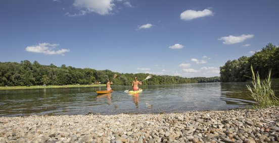 Auwaldsee_bei_Lauingen__Paddel.jpg