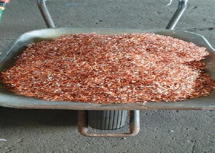 Schrotthändler gütersloh
