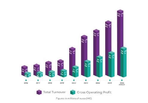 Grafik_FERGUS-Group_Turnover-and-GOP.jpg