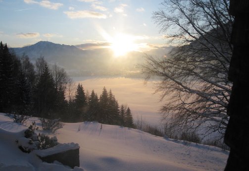 Winter Alpsee Schnee Sonne.jpg