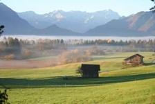 Mooslandschaft im Herbst