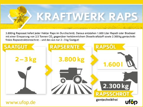 PB_Raps_Kraftwerk_Infografik_2048px.jpg