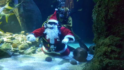 Nikolaus und Rentier im SEA LIFE Oberhausen