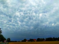 Wenn sich schon ein Extremwetter abzeichnet, ist es zu spät für die Dachwartung, und die Hoffnung, die Versicherung werde schon zahlen, erfüllt sich kaum.