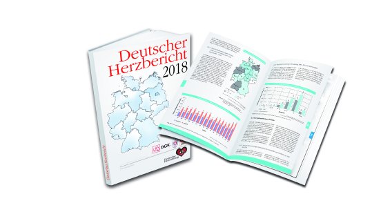 herzbericht-2018-blau.jpg