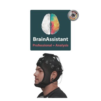 brainassistant-Analyse-2.jpg