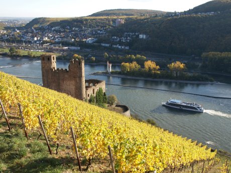 004_13_ruine_ehrenfels_kh_walter_ruedesheim_tourismus_ag.JPG