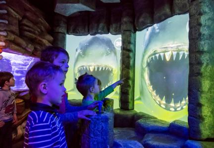 Kinder entdecken den Megalodon an der interaktiven Erlebniswand