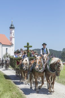 Geschmueckte_Gespanne_Dietramszeller_Lehards.jpg