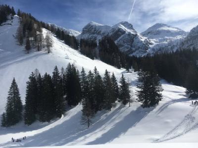 Alpenkokstage im Nationalpark