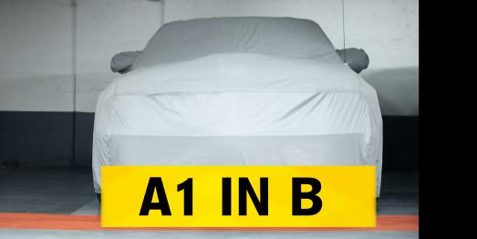 a1inb