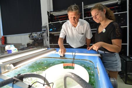 Blick hinter die Kulissen: FÖJlerin Monja Daub erklärt Senator Lohse ihr Aufgabengebiet in der Fischhälterung.