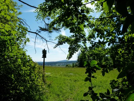 140606_Wanderung (14) - Arnstadt.JPG