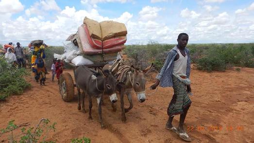 Tausende Menschen mussten ihr Dörfer in Somalia verlassen. (© action medeor)