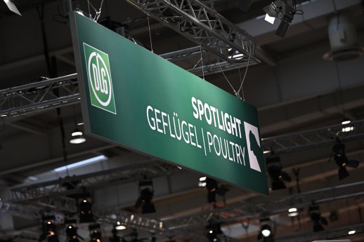 241113_ET24___S_Pfoertner_SPF101523.jpg