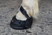Swiss Galoppers Der Schweizer Hufschuh von Armin Eberle macht seinem Erfinder alle Ehre