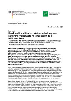 2024 06 07 PM_BMUV_BfN_Hirtenwege im Pfälzerwald.pdf