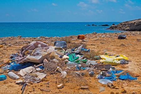 Plastikmüll am Strand wird zur Gefahr für Tiere