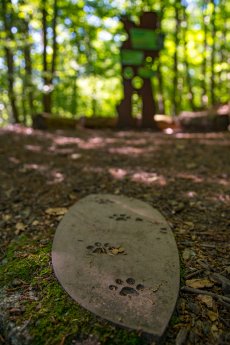 bad_harzburg(c)wanderungen_kw24_25.jpg