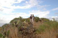 Wanderer im Westen Teneriffas / Wikinger Individuell