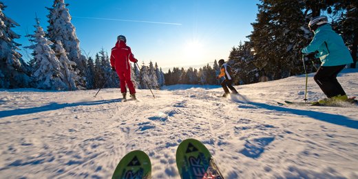 Hochficht_O%D6TourismusErber_520x260.jpg