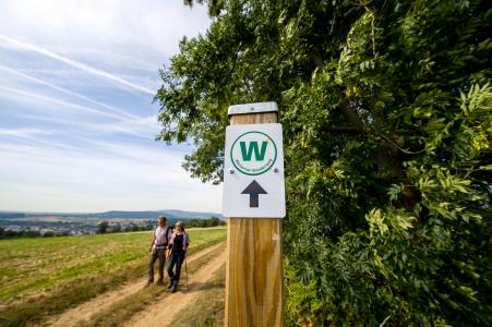 In Bad Nauheim gibt es fünf ausgewiesene Rundwanderwege, die sich verschiedenen Themen widmen.