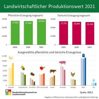 BZL-Infografik_Landwirtschaftlicher Produktionswert 2021.jpg