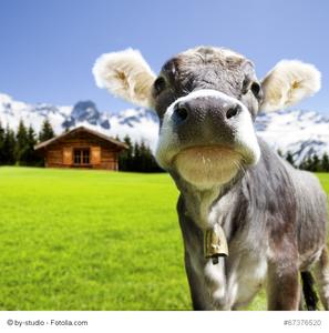 Fotolia_67376520_S_copyright.jpg