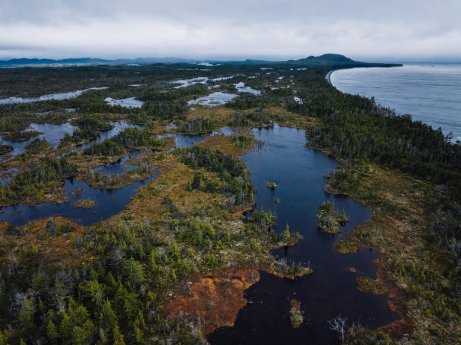 Drone-Landscape-PorcherIsland-CA-Mattis Weber.jpg