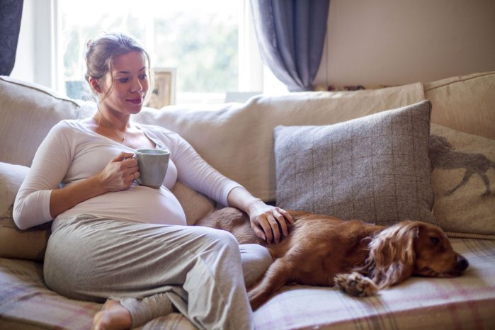 Schwangere Frau mit Hund©istock.com_SolStock.jpg