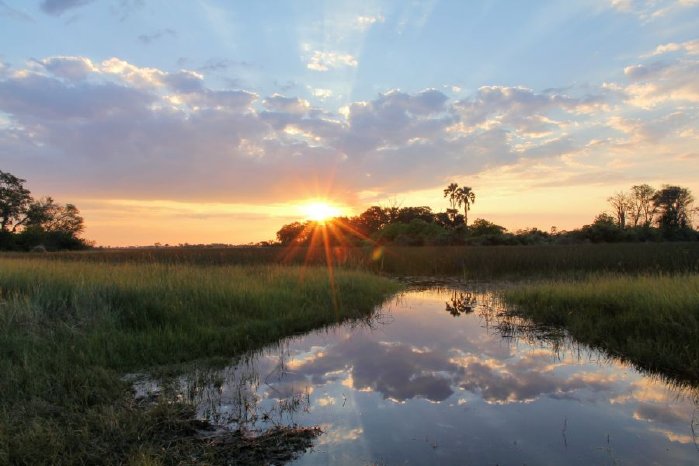 Botswana_Reisen_Okavango_Delta.jpg