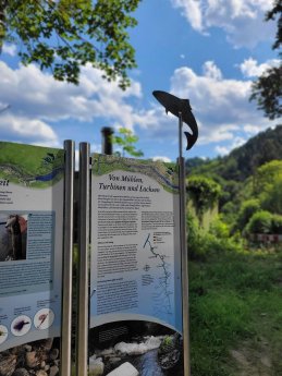 Lachsererlebnispfad ©RP Frank Hartmann.jpg