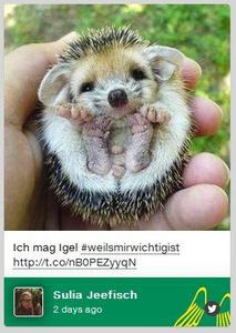 Provinzial Rheinland startet Hashtag-Kampagne #weilsmirwichtig