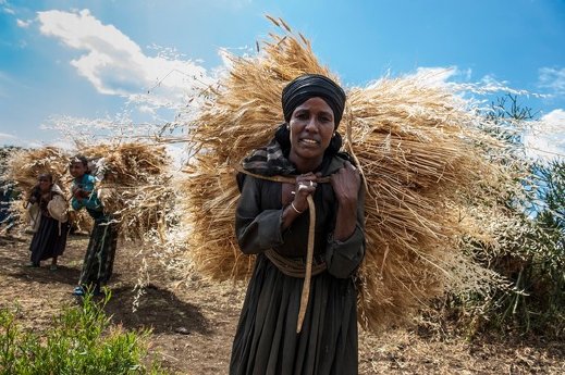 Frauen%20im%20ländlichen%20Äthiopien_Foto%20Rainer%20Kwiotek_MfM.jpg