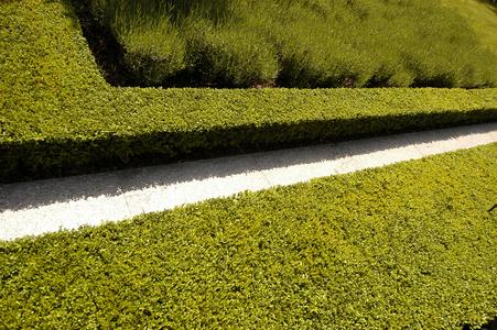 Göllner Garten mit Weg