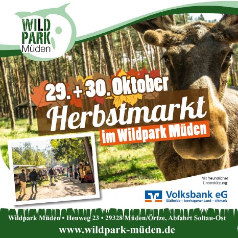 7_Veranstaltungsplakat Herbstmarkt Wildpark Müden Quadrat.jpg