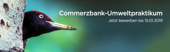 PM37_Commerzbank-Banner-Praktikumsfrist.jpg