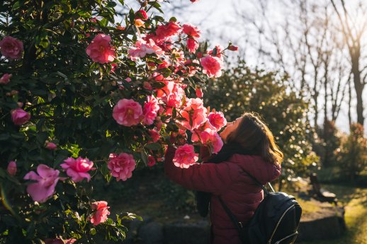 Parco delle Camelie, Locarno-Ticino Turismo - Milo Zanecchia-2.jpg