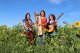20. Juli – Sonntasgmatinee mit den „Folk-Flowers“
