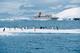 Kreuzfahrt in die Antarktis