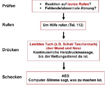 Die einzelnen Schritte einer Wiederbelebung durch Laien kurzgefasst