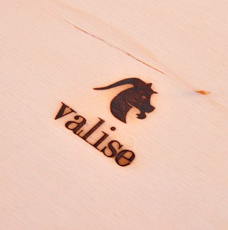 valise - Logo Company..jpg