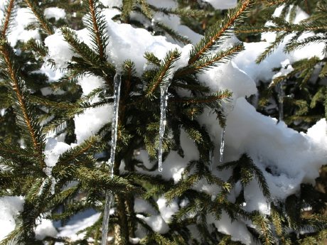 Weiße Weihnachten.jpg