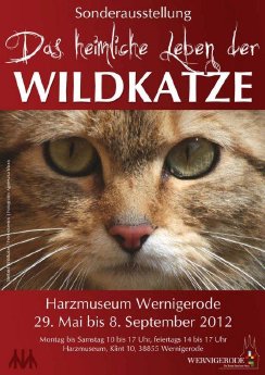 Wildkatze_plakat.jpg