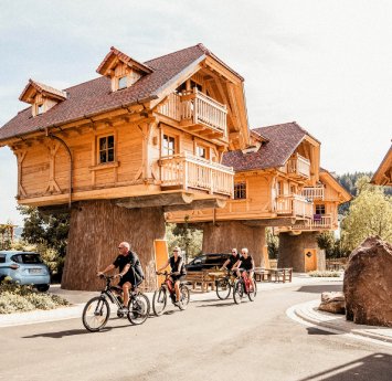 PremiumCampsSchwarzwaelderHof_Foto_VivianHampp_Presse.jpg